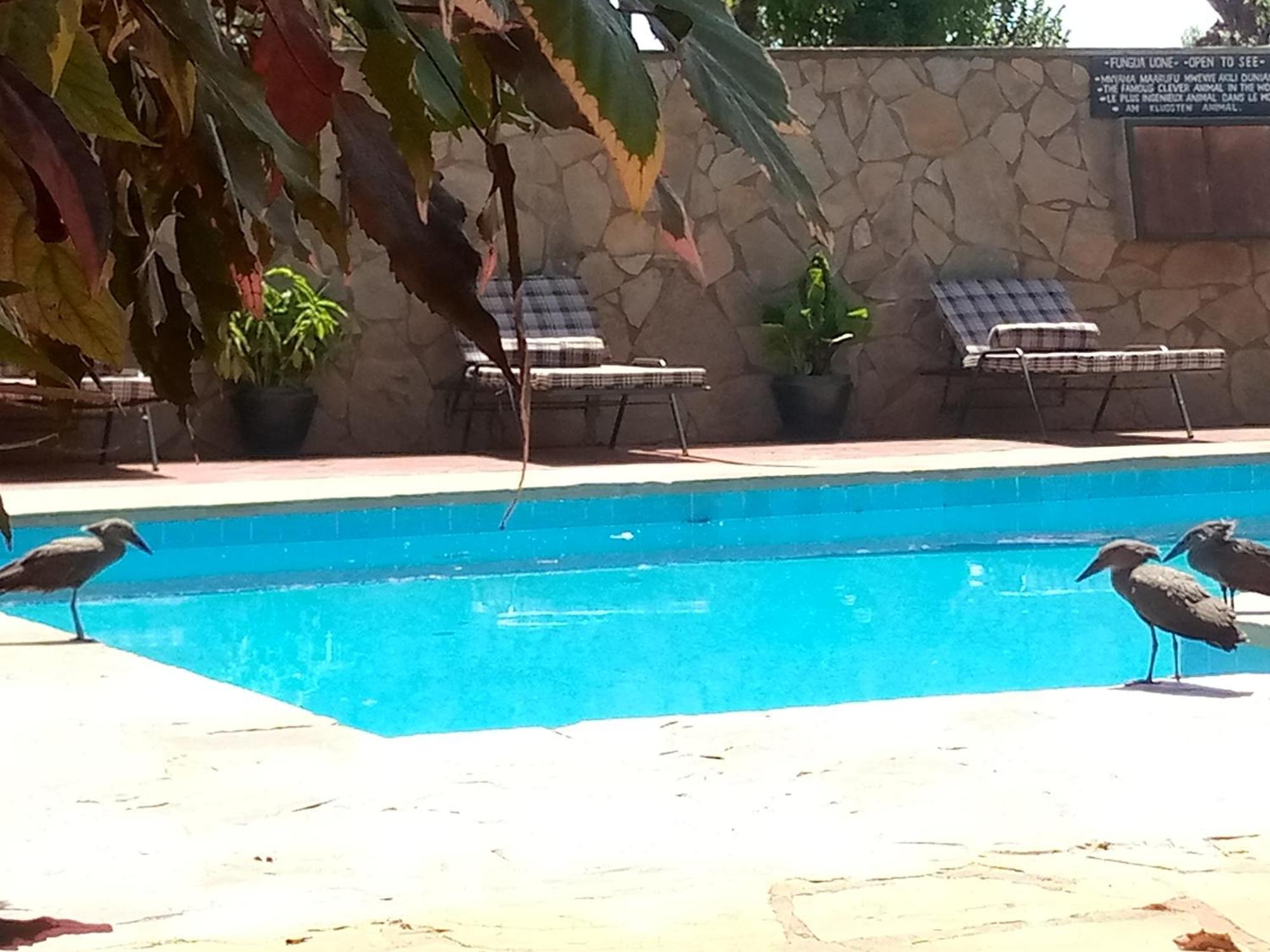 Ngorongoro Camp And Lodge Карату Экстерьер фото